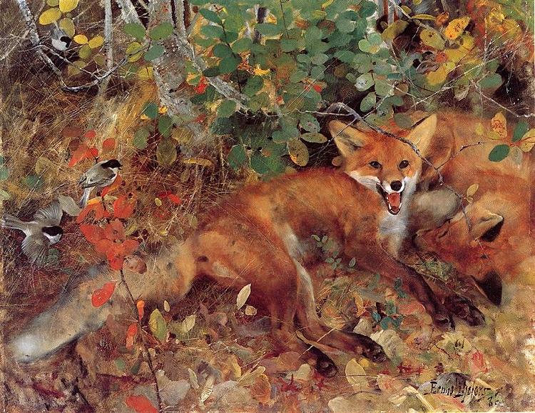 bruno liljefors Foxes Norge oil painting art